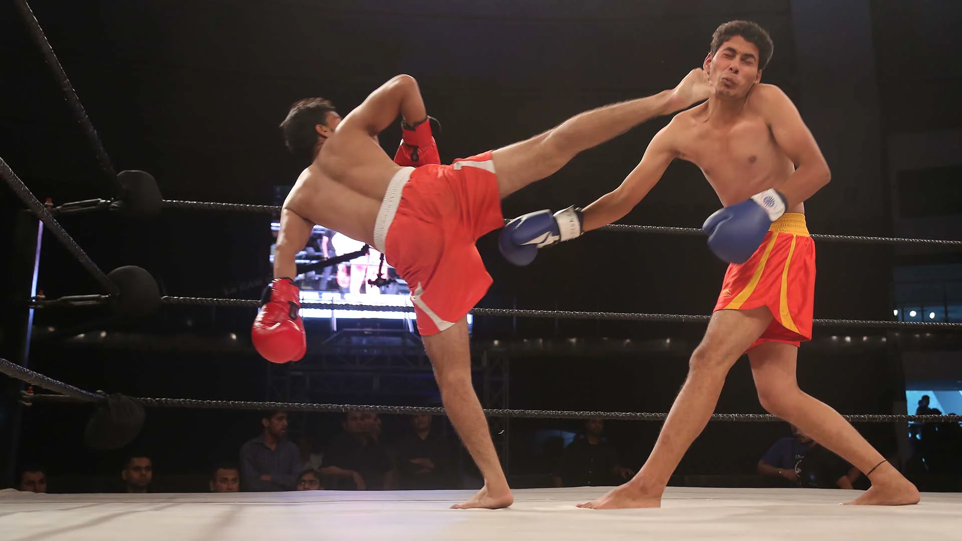 Kickboxing Training at MMASI Malappuram