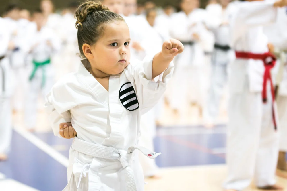 Pre-Martial Arts for Kids at MMASI